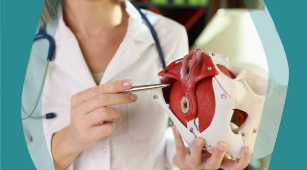 Pelvic Organ Prolapse and Incontinence